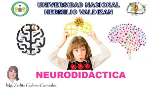 VIDEO NEURODIDACTICA [upl. by Wasson941]