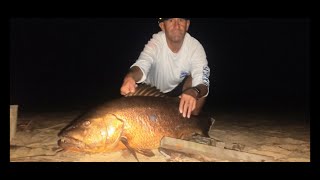 True North Fishing Big fish and how NOT to Gaff [upl. by Radie]