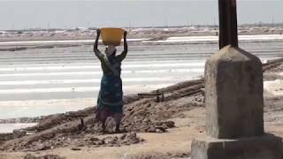 Sahayamatha Saltworks in India [upl. by Colon]