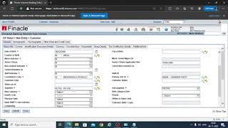 FINACLE 10 TRAINING  Customer ID creation using CRM module [upl. by Nidnal917]