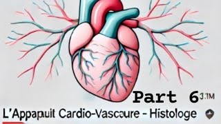 la 1ère cours d histologie 2eme année médecin blida 💗 the last part [upl. by Urana]