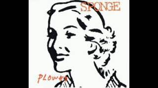 Plowed  Sponge [upl. by Anika]