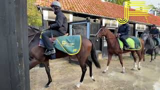 Newmarket Gallops 141023  Julia Feilden Racing [upl. by Keane]