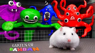 All New Monster Challenges Hamster Escape From New Monster In Garten Of Banban Maze [upl. by Geraud]