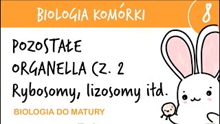 Cytologia 8  Pozostałe organella cz2 Rybosomy peroksysomy lizosomy glioksysomy wakuole [upl. by Selym]