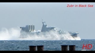 Зубр в Чёрном море  Zubr in Black Sea [upl. by Sosthena]