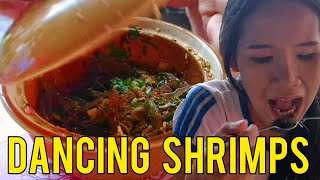 Eating Live quotDancing Shrimpsquot in Chiang Mai Thailand streetfood yummy delicious [upl. by Cutlip588]