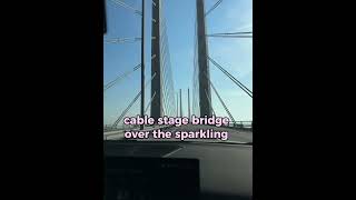 The worlds most expensive underwater bridge 😱💸 Oresund bridge [upl. by Tyre]