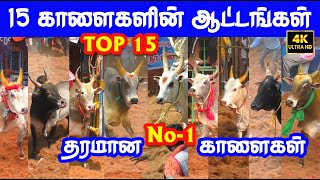 Top 15 best தரமான No  1 காளைகள் Tamizhan Trending [upl. by Deys]