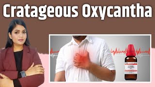 cratageous Oxycantha mother tincture uses for heart disease heart blockage heart attack [upl. by Yrailih99]