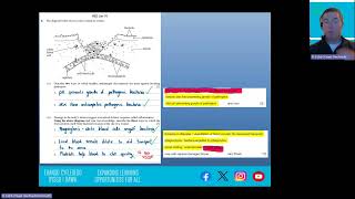 Immune Response and Role of B amp T Lymphocytes [upl. by Atsyrc]