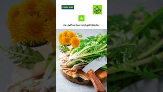 Dandelion Benefits shorts healthtips [upl. by Odrareg]