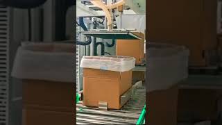 Prefabricated vegetable carton bagging machine Vegetable carton complete [upl. by Kimura]