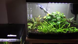 Lovefish Panorama 40 litre long term review [upl. by Yessac725]