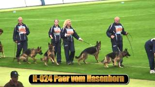 2010 SV BSZS NKGR part 16 Paer vom Hasenborn HD [upl. by Roger]