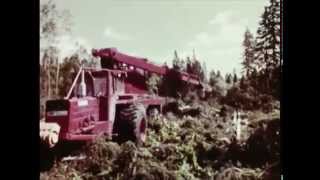 Forestry in Sweden 1969 [upl. by Maharg611]