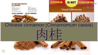 quotCHINESE CINNAMON CINNAMOMUM CASSIAquot in Cantonese 肉桂  Flashcard [upl. by Acherman]