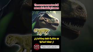 سیناپسیدها،synapsids دانستنیها newfact حیوانات animal دایناسور dinosaur animals [upl. by Ewnihc]