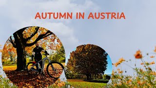 Autumn in Austria [upl. by Jensen]