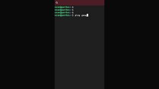 ping Komutu  Temel Linux Komutları pardus linux [upl. by Macmillan402]