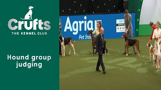 Group Judging Hound and Presentation  ​Crufts 2023 [upl. by Hploda837]