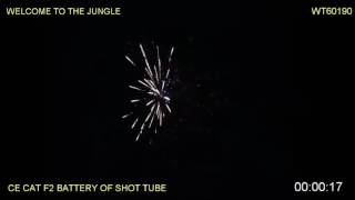 Brothers Pyrontechnics Fireworks  WT60190 Welcome To The Jungle 36 Shot Barrage [upl. by Nywled749]