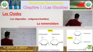 Séance 14  Les Osides  Les oligosides oligosaccharides [upl. by Anavlis]