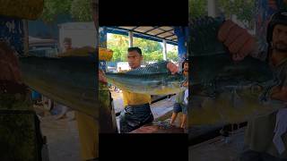 Huge Dolphin Fish Cutting fishcutting fish shorts [upl. by Necila737]