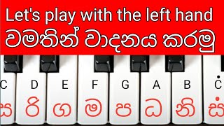 Lets play with the left hand C D E F G A B piano notes සරිගමපධනිස වමතින් [upl. by Trepur376]