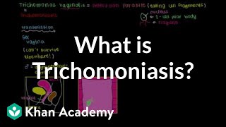 What is trichomoniasis  Infectious diseases  NCLEXRN  Khan Academy [upl. by Annaira]