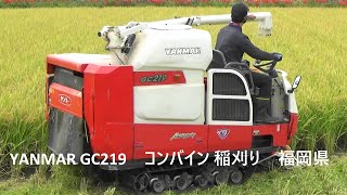 YANMAR GC219 コンバイン稲刈り 福岡県YANMAR GC219 Combine Harvesting Fukuoka Prefecture [upl. by Eniksre]