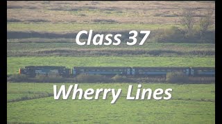 Class 37  Wherry Lines  Somerleyton to Oulton Broad North  Drone [upl. by Einahpad194]