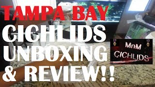 Unboxing 10 awesome and rare fish from Tampa Bay Cichlids [upl. by Cowey]