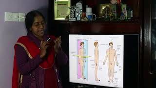 Introduction to Anatomy by Dr Chandona Sorcar [upl. by Coonan168]