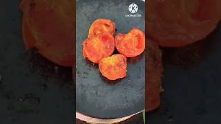 Tamatar ki new recipe shortvideo cooking youtubeshorts tmatarkichtni [upl. by Benkley208]