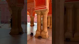 Magnificent City Palace Jaipur Rajasthan tourism travel trending shortsfeed shorts [upl. by Eeleak]