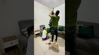 Montando a árvore de Natal em família natal decoracaonatalina arvoredenatal [upl. by Pinckney]