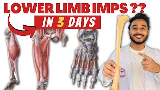 lower limb anatomy in 3 days  lower limb important topics  important topics of lower limb anatomy [upl. by Naujet]