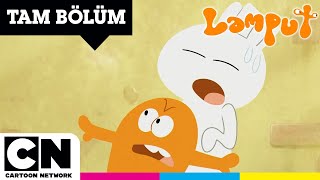 LAMPUT  Stajyer Tuzki  TAM BÖLÜM  cartoonnetworkturkiye [upl. by Aschim31]