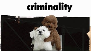 ROBLOX CRIMINALITY AND VIOLENCE OO [upl. by Liba835]