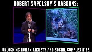 Robert Sapolskys Baboons Unlocking Human Anxiety and Social Complexity Baboons StressAndAnxiety [upl. by Leona421]