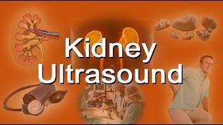 Kidney Ultrasound  What Is It Does It Hurt [upl. by Yzus]