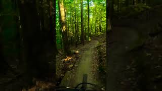 Chillowa traska mtb downhill [upl. by Enutrof]