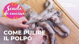 🐙 COME PULIRE e CUOCERE il POLPO  TUTTI I SEGRETI della SCUOLA di CUCINA di GZ😍✨ [upl. by Iah]