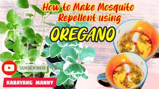 How to make mosquito repellent using oregano [upl. by Kreiner641]