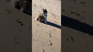 Boris uit Roemenië op het strand [upl. by Idnahc]