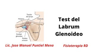 Speed test del Labrum Glenoideo  FisioterapiaRD Terapeuta haz tu prueba FuncionalPF28 [upl. by Lan]