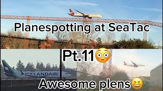 Planespotting at SeaTac ksea pt11 [upl. by Treblih]