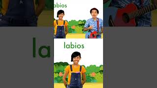 Conoce palabras por la letra L de León 🦁 123andres musicainfantil shortsvideo kidsvideo shorts [upl. by Drofub691]