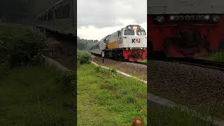 KA BRAWIJAYA keretaapiindonesia shortsvideo [upl. by Vareck]